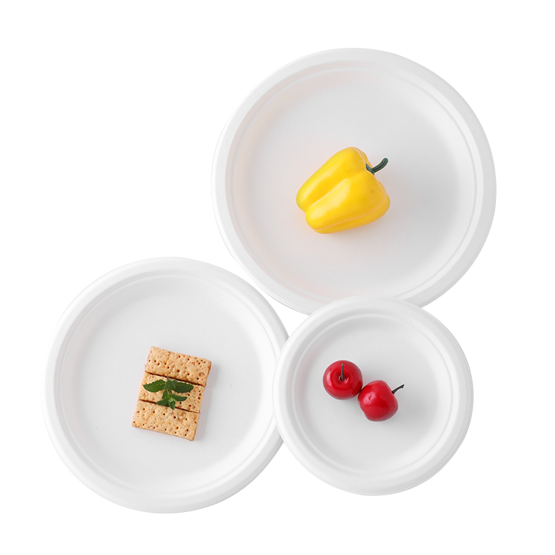 9 Inch Biodegradable Sugarcane Round Plate