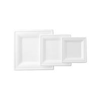 8 Inch Eco Friendly Bagasse Square Plate