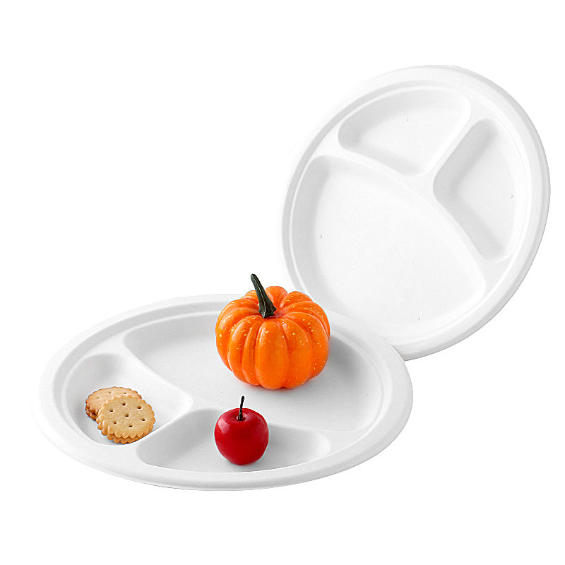 10 Inch 3 Compartment Biodegradable Bagasse Round Plate